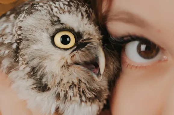 Kazino Lucky 31 Pagalba